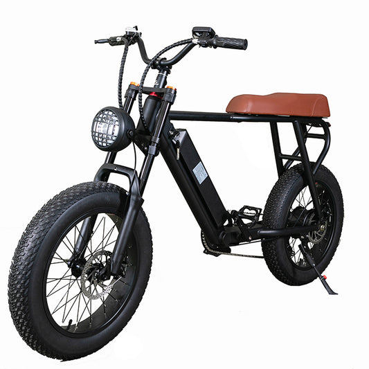 20FG VTT adulte 20 pouces 500W vélo électrique 48V 15Ah batterie au Lithium Suspension pneumatique fourche avant vitesse jusqu'à 45 km/h