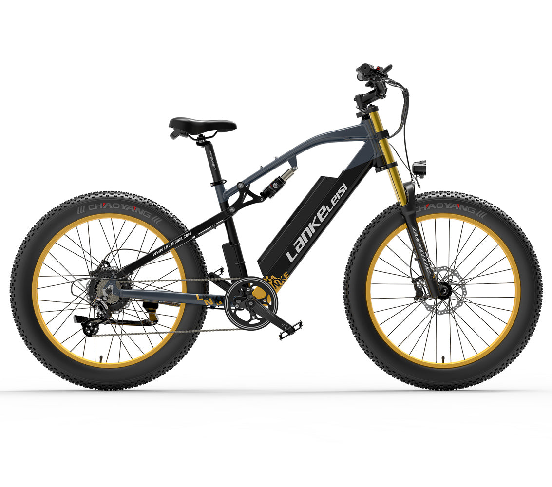 RV700 1000W 48V 16Ah Vélo électrique puissant 26 Inch Beach Bike Mountain Bike Upgraded Oil Spring Downhill Fork Dual Suspension