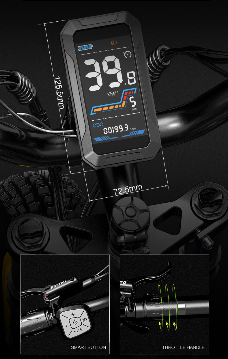 RV700 1000W 48V 16Ah Vélo électrique puissant 26 Inch Beach Bike Mountain Bike Upgraded Oil Spring Downhill Fork Dual Suspension