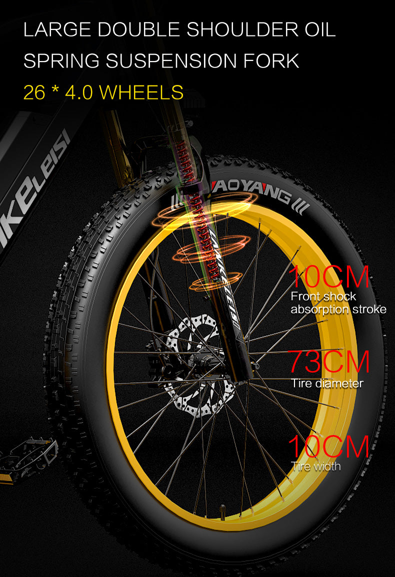 RV700 1000W 48V 16Ah Vélo électrique puissant 26 Inch Beach Bike Mountain Bike Upgraded Oil Spring Downhill Fork Dual Suspension