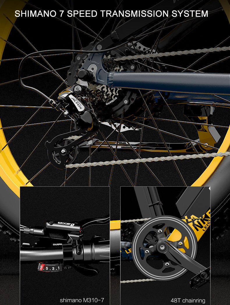 RV700 1000W 48V 16Ah Vélo électrique puissant 26 Inch Beach Bike Mountain Bike Upgraded Oil Spring Downhill Fork Dual Suspension