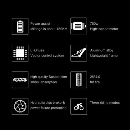 RV800 PLUS 48V 20Ah Fashionable Electric Bike 26 Inch 7 Speed Transmission system Up To 52Km/h  Front & Rear Hydraulic Disc Brake