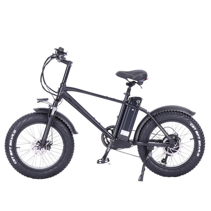 T20 20 Inch 750W Electric Bike, 4.0 Fat Tire Mountain Bike, 48V 17Ah Battery, Front & Rear Disc Brake