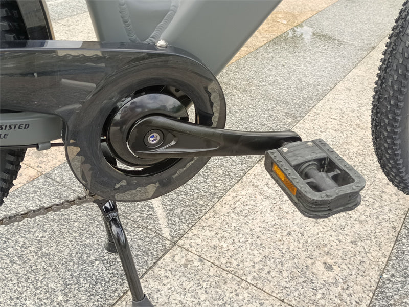 ES500 Pro 500W 48V 16Ah 130Km Rezistență 24 inci Motor fără perii Bicicletă electrică urbană Frâne cu două discuri 32 km/h Viteză maximă City Bik